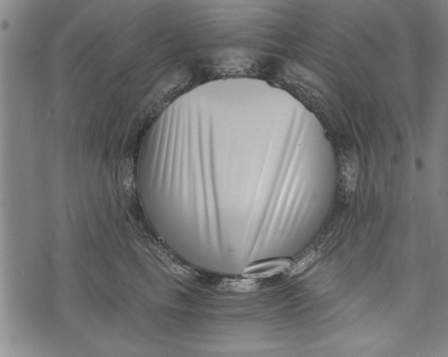 X0000073720665200608241233