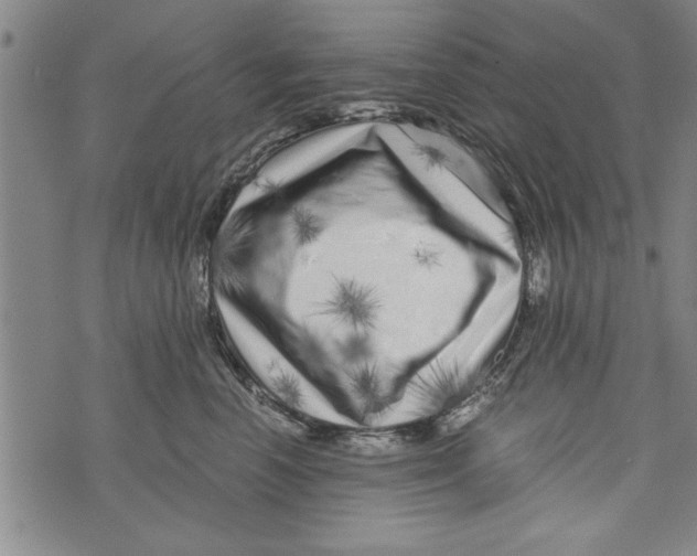 X0000073720666200608241233