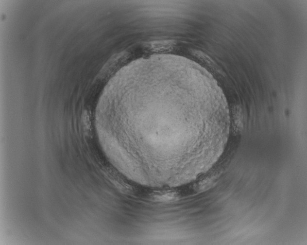 X0000073720667200608241233