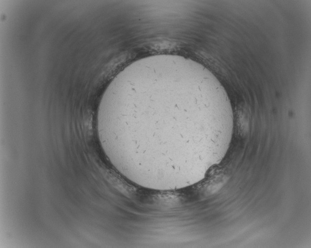 X0000073720668200608241233