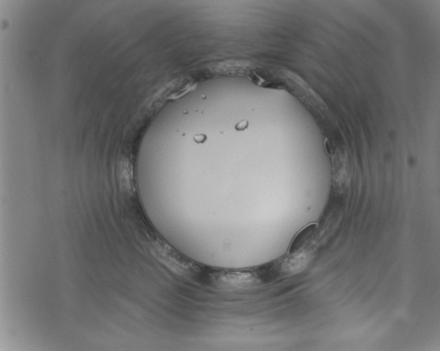 X0000073720669200608241233