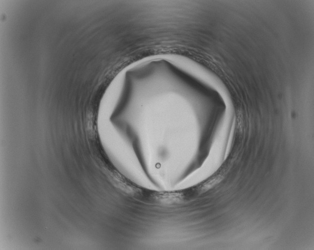 X0000073720670200608241233