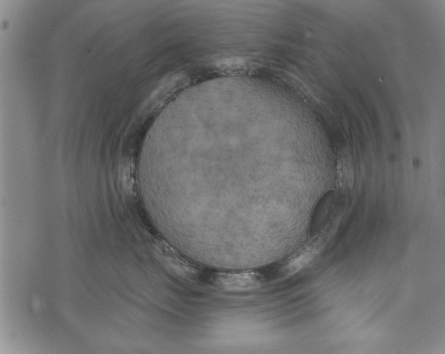 X0000073720671200608241233