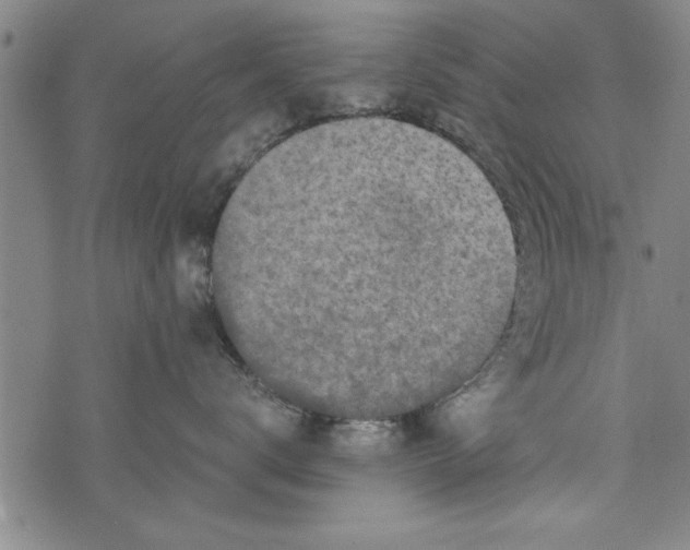 X0000073720672200608241233