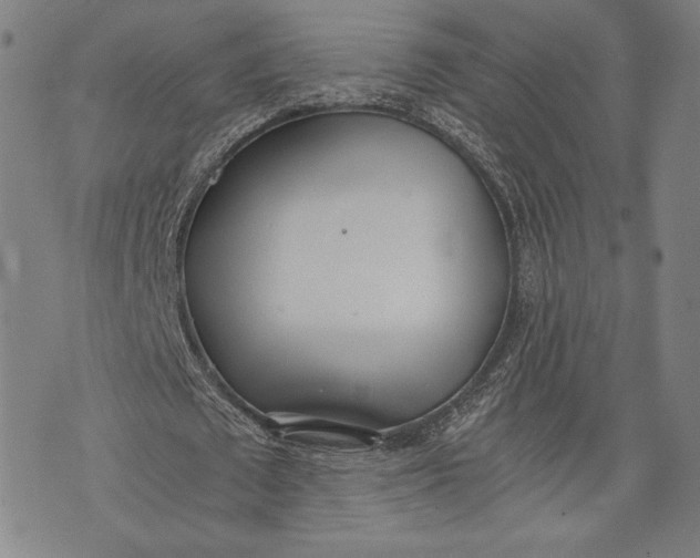 X0000073720673200608241232