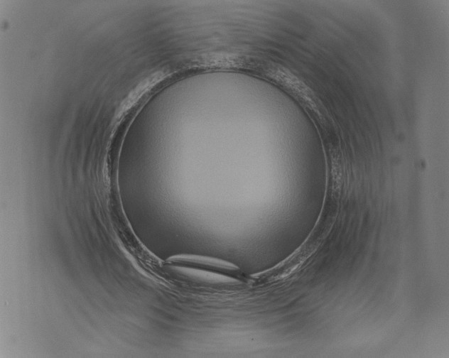 X0000073720674200608241232