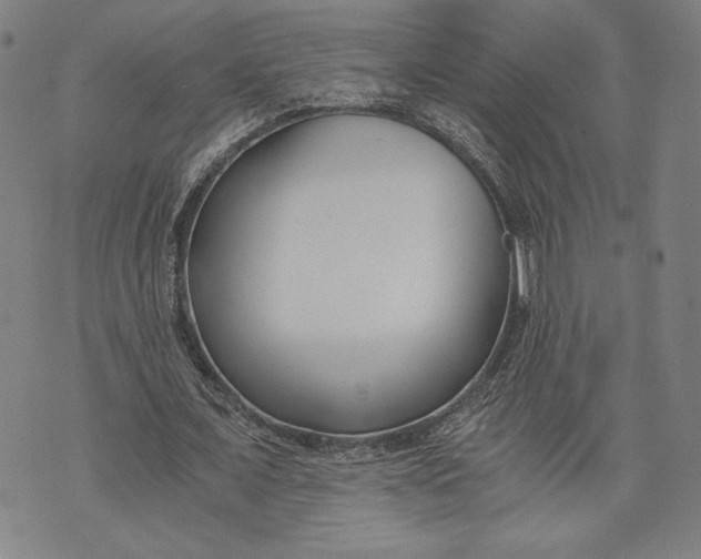 X0000073720675200608241232