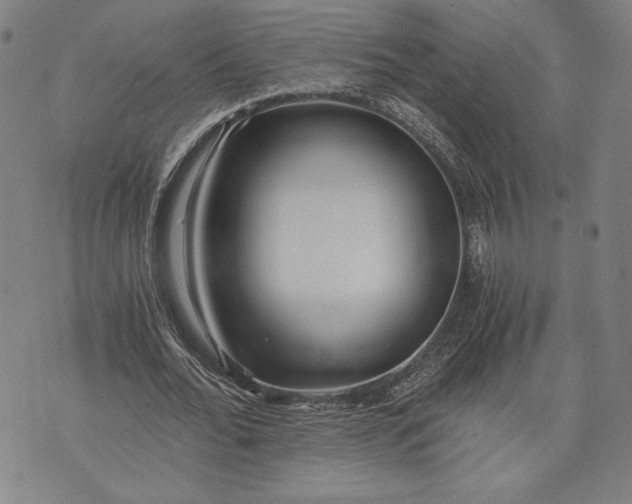 X0000073720676200608241232