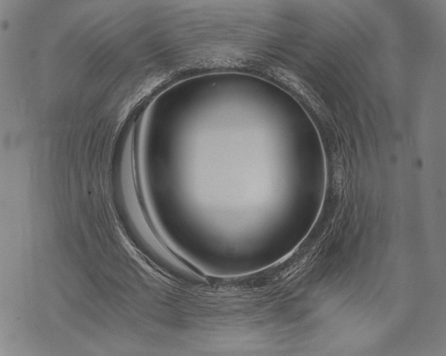 X0000073720677200608241232