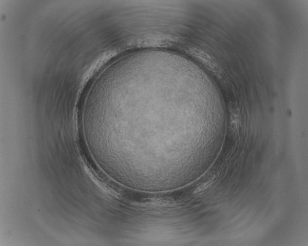 X0000073720678200608241232