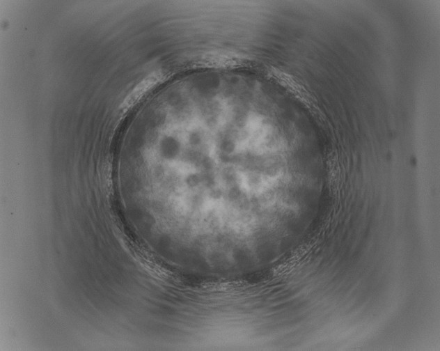 X0000073720679200608241232