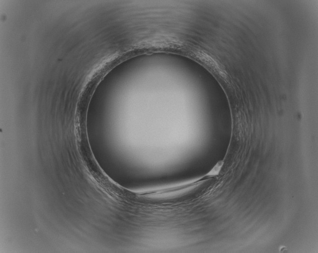 X0000073720680200608241232