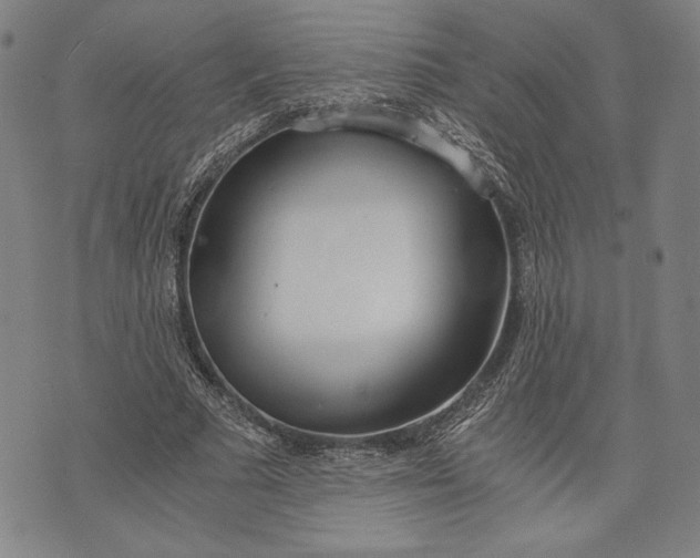 X0000073720681200608241232