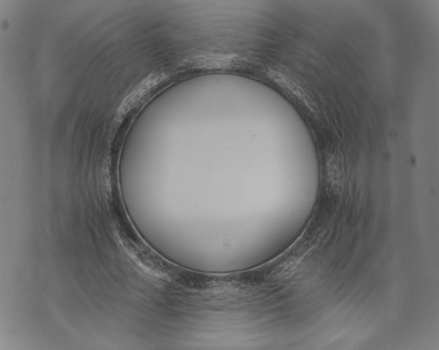 X0000073720682200608241232