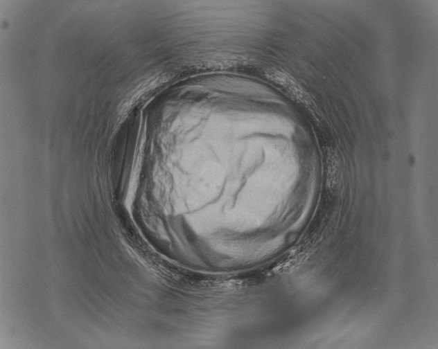 X0000073720683200608241232