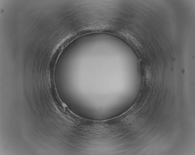 X0000073720684200608241232