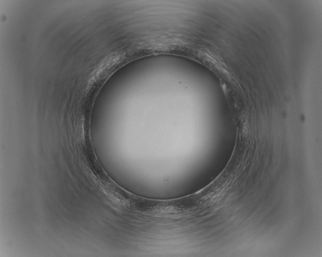 X0000073720685200608241232