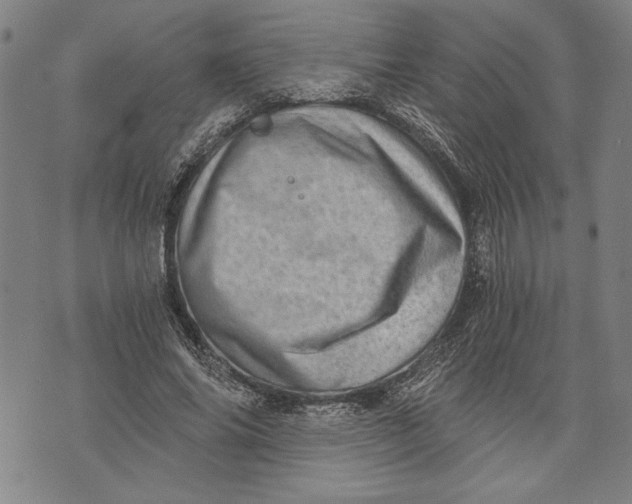 X0000073720686200608241232