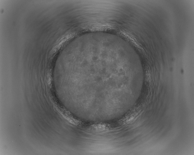 X0000073720687200608241232