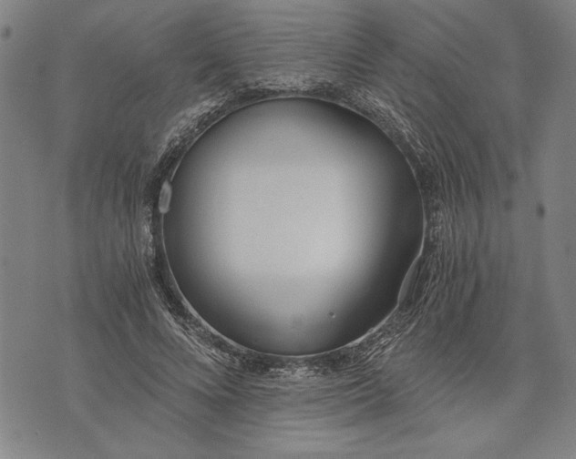 X0000073720688200608241232