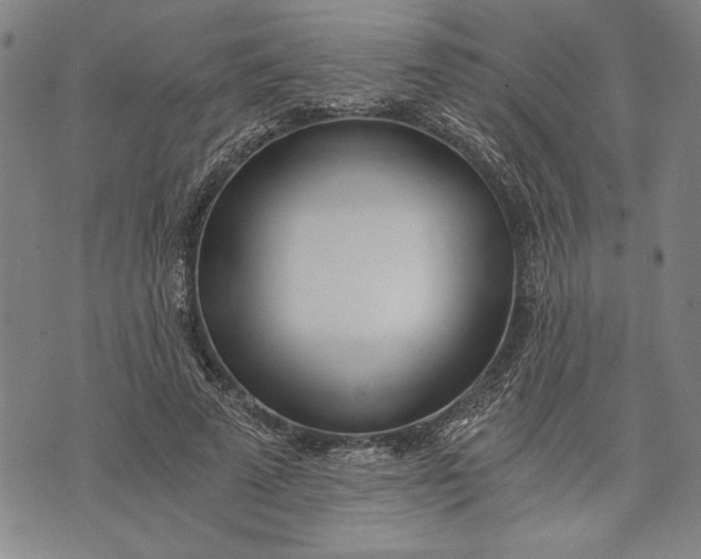 X0000073720689200608241232