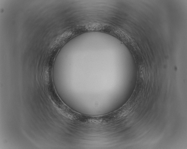 X0000073720690200608241232