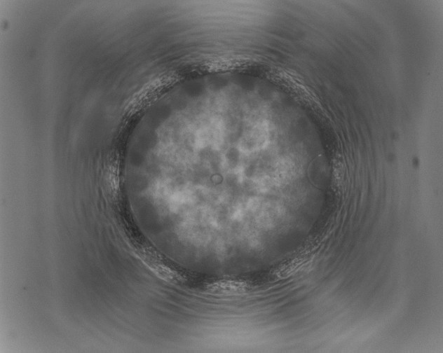 X0000073720691200608241232