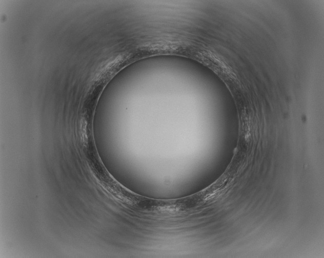 X0000073720692200608241232