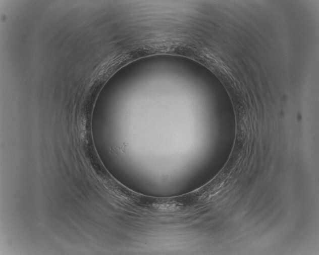 X0000073720693200608241232