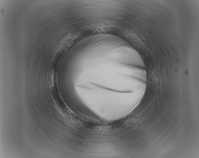 X0000073720694200608241232