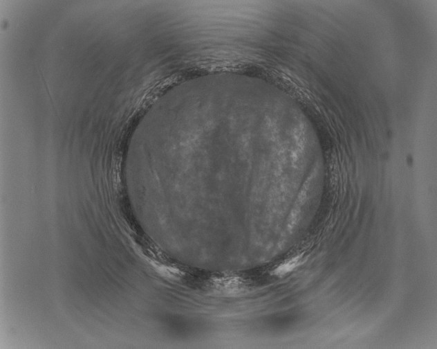 X0000073720695200608241232