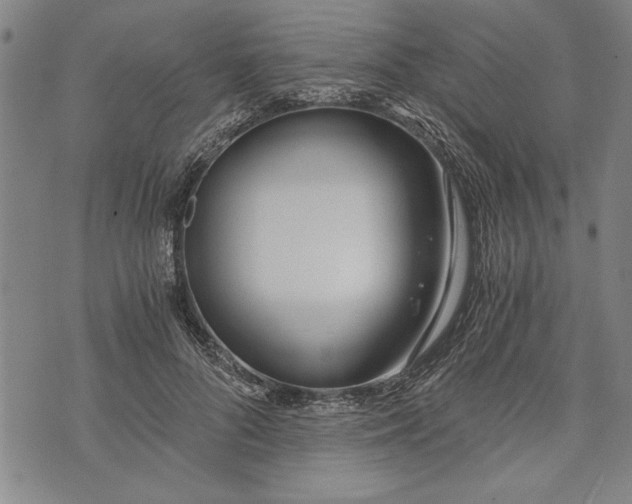 X0000073720696200608241232