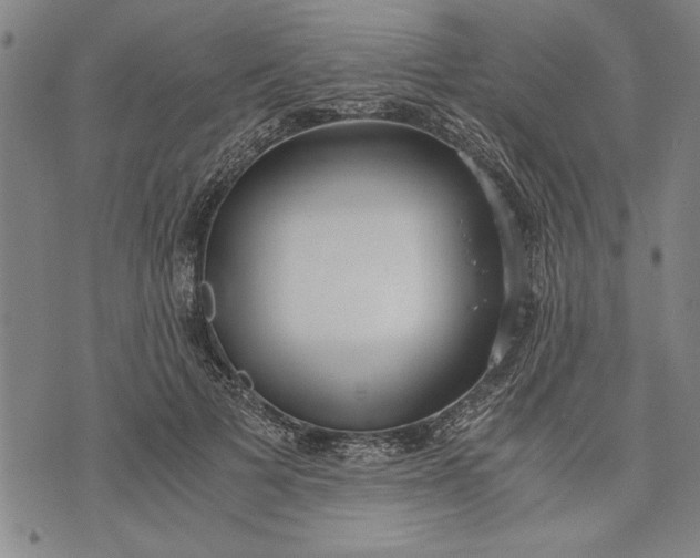 X0000073720697200608241232