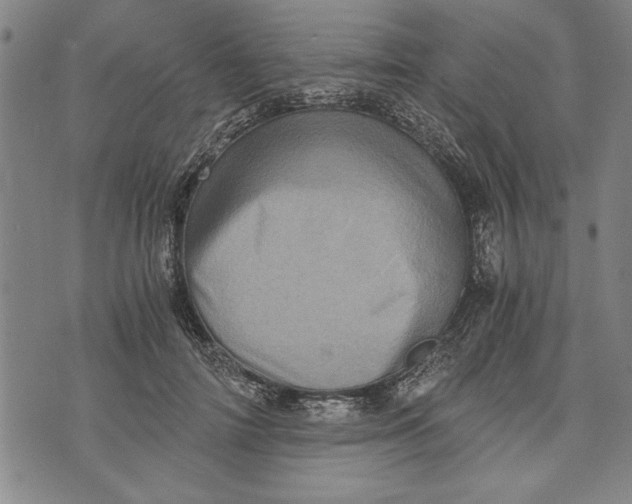 X0000073720698200608241232