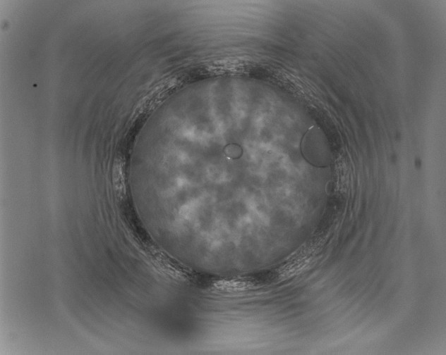 X0000073720699200608241232