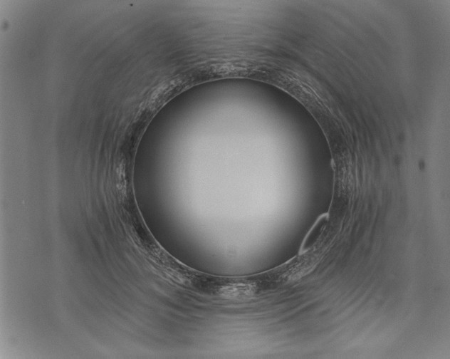 X0000073720700200608241232