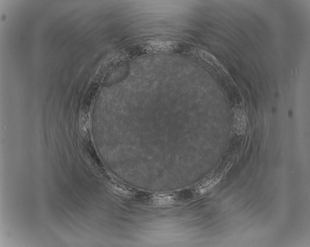 X0000073720701200608241232