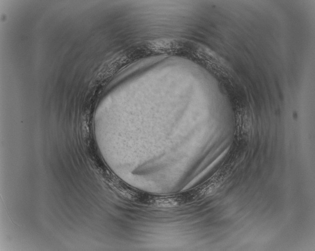 X0000073720702200608241232