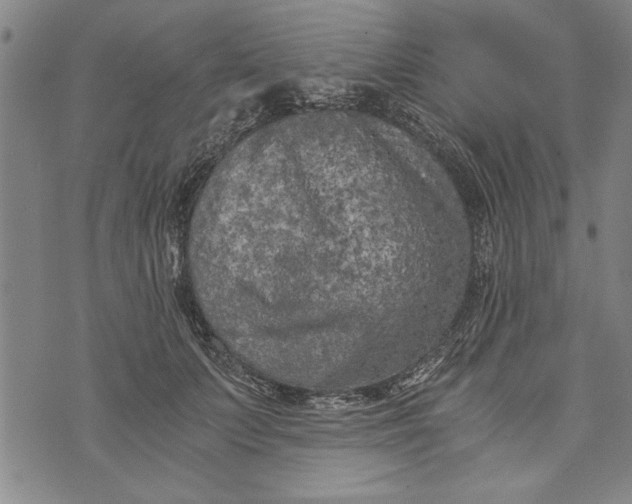 X0000073720703200608241232