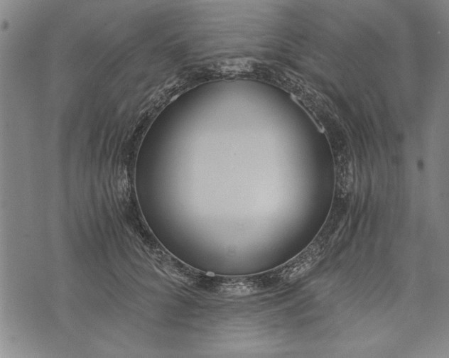 X0000073720704200608241232