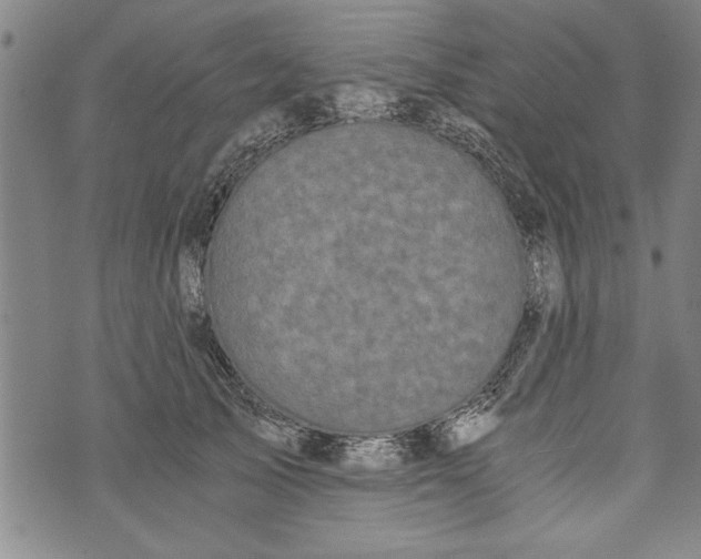 X0000073720705200608241232