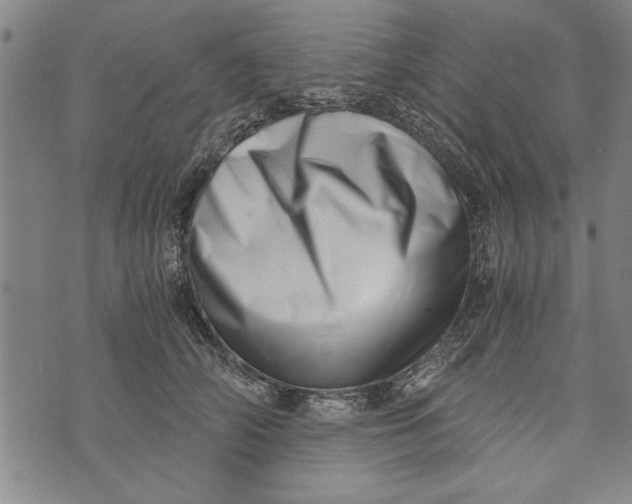 X0000073720706200608241232