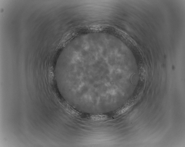 X0000073720707200608241232