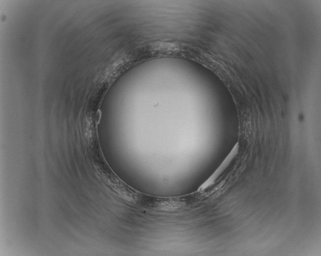 X0000073720708200608241232