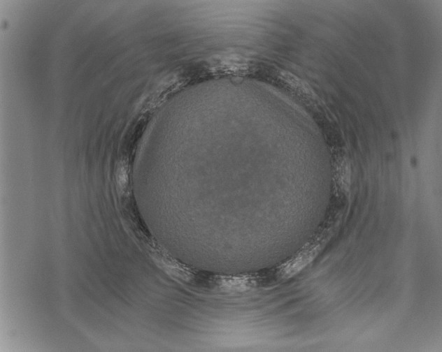 X0000073720709200608241232