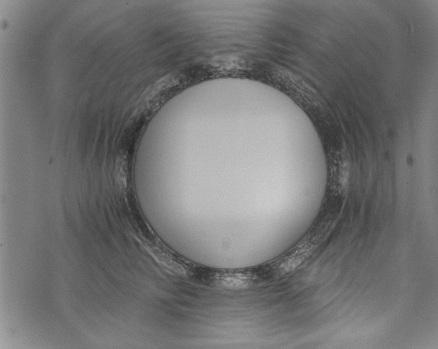 X0000073720710200608241232