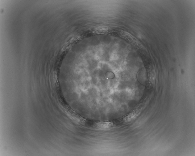 X0000073720711200608241232