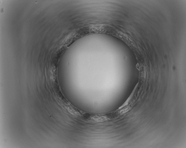 X0000073720712200608241232