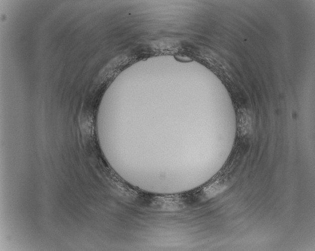 X0000073720713200608241232