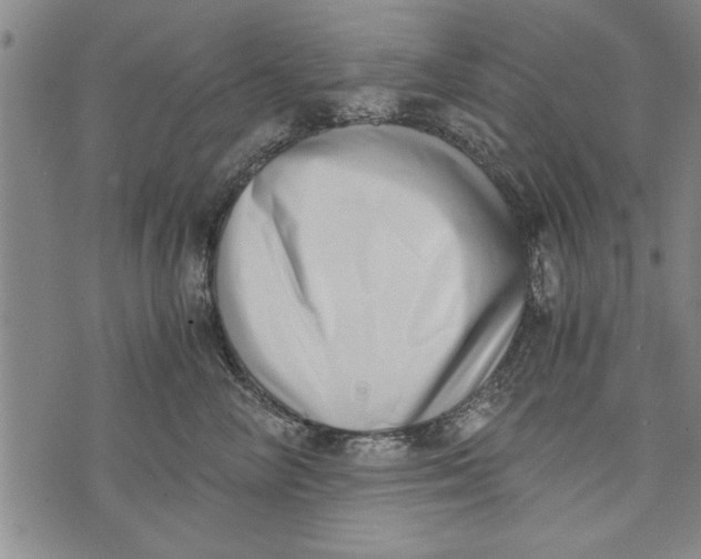 X0000073720714200608241232